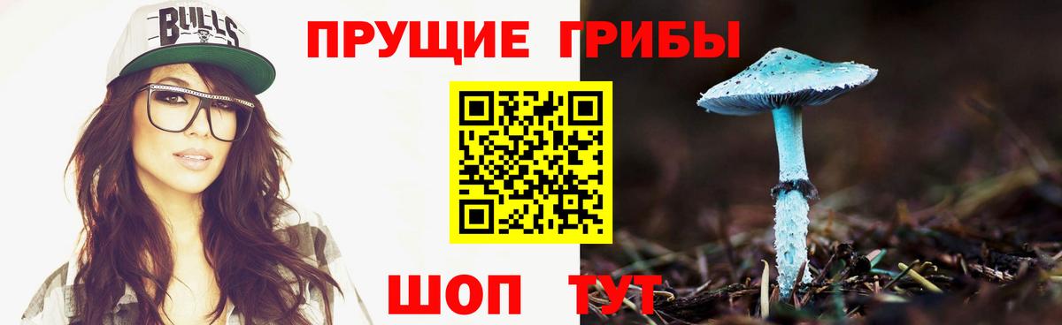 Галлюциногенные грибы Magic Shrooms  Вход с VPN  Самара 